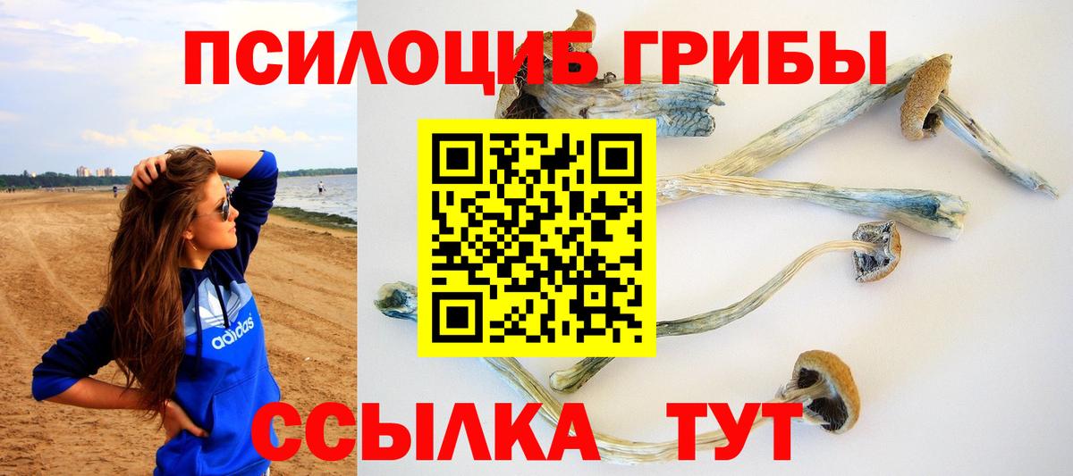 Псилоцибиновые грибы Magic Shrooms  магазин    Псилоцибиновые грибы Magic Shrooms  Бузулук  Вход с VPN 